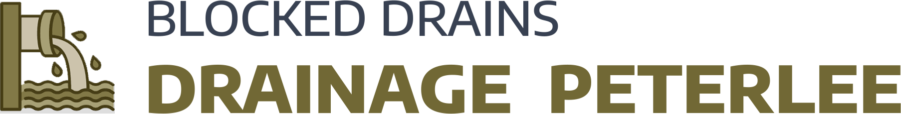 website logo